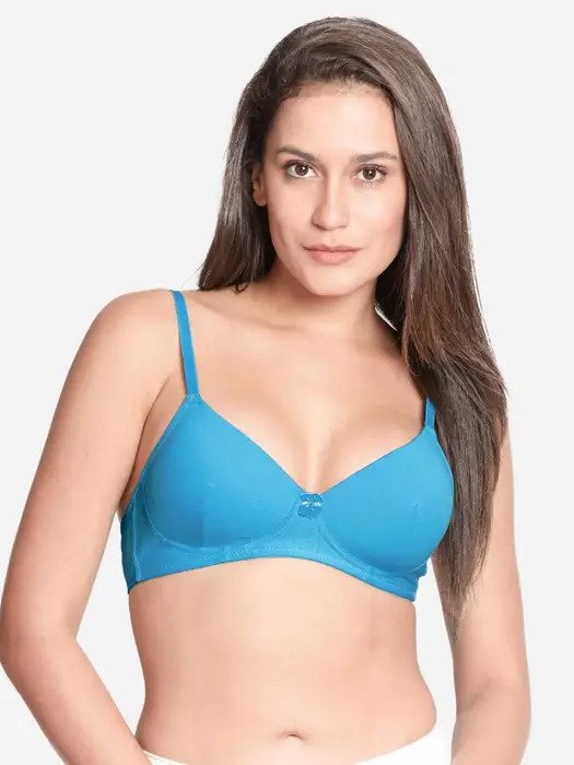 Sky Blue Casual Padded Everyday Bra