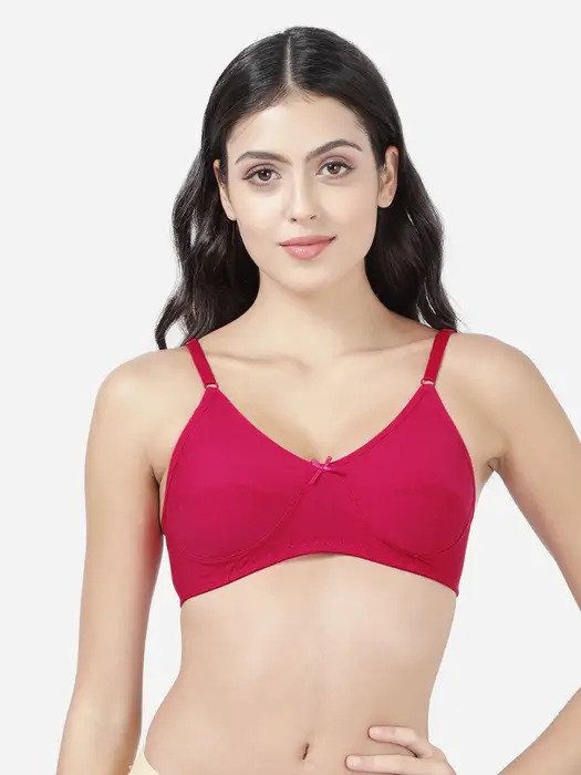  Love Potion Non Padded Seamed Everyday Bra